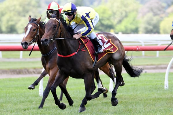 Group One spoils on the line