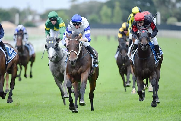 Kovalica all class in Queensland Guineas triumph