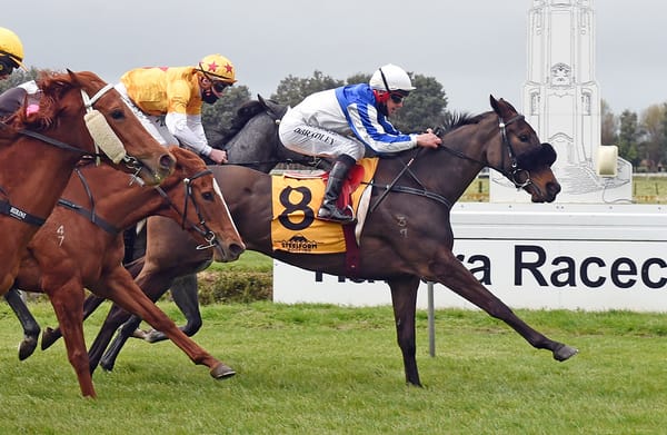 Newman would love further black-type