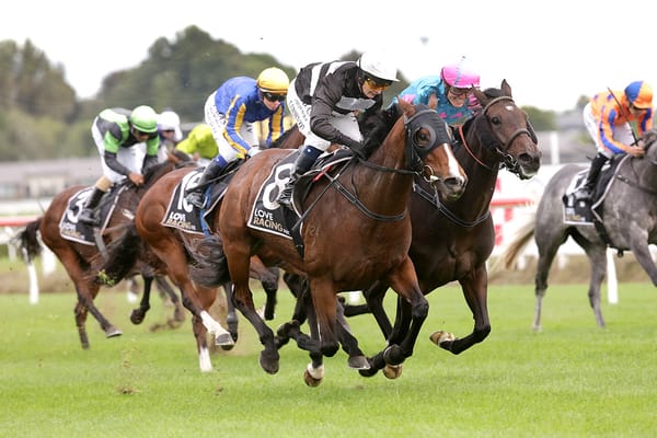 Outback Opal seeking fairytale ending