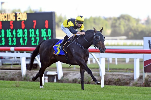 Patterson eyeing another Brisbane venture