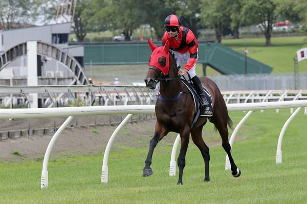 There Goes My Hero primed for Hastings