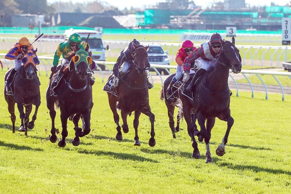 MacGregor family horse on a winning roll