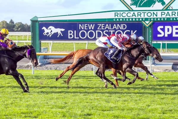 MacGregor off the couch cheering his pride and joy at Riccarton