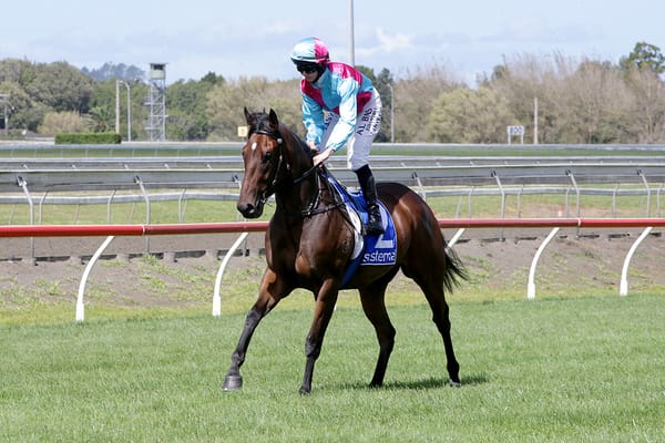 Hopes of catching a winning break in Champagne