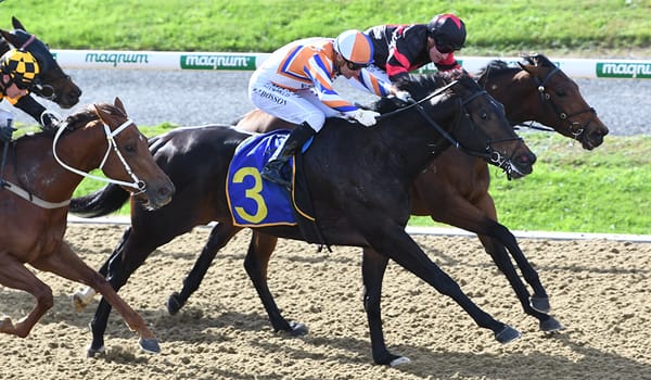 Angels Wings breaks through at Cambridge