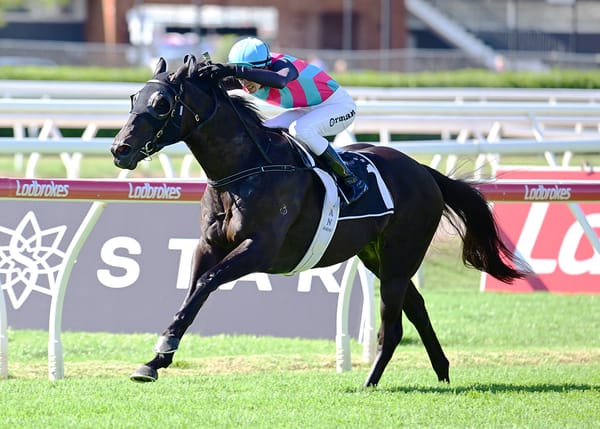 Antino a winning machine