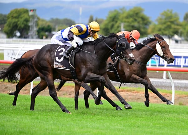 Derby hope Arby in tip-top order