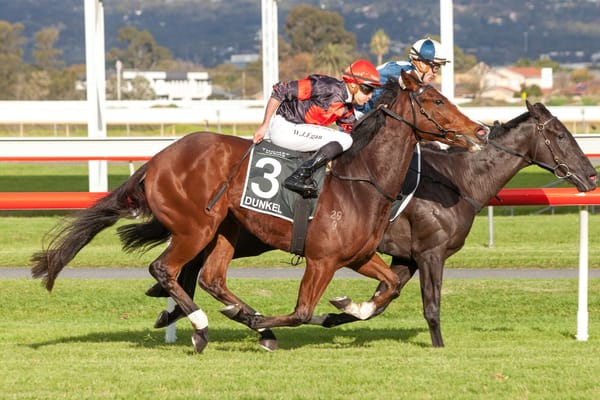 Dunkel packs killer punch in SA Derby