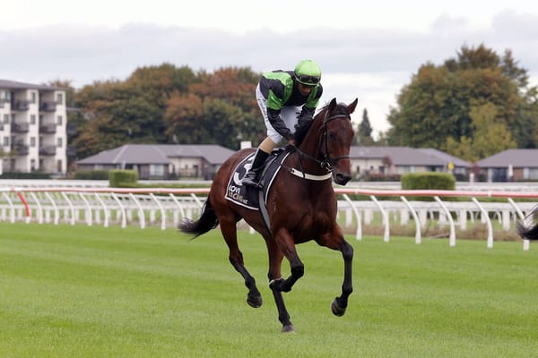 Fall hasn’t put Phelan off Warrnambool return