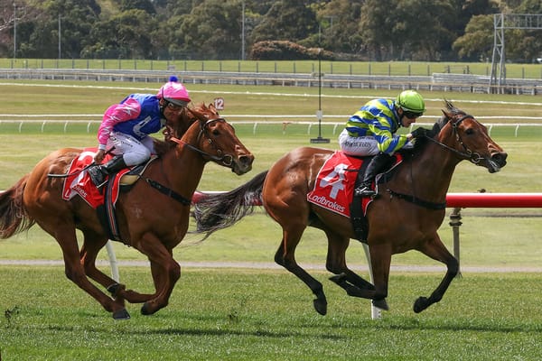 Esta La Roca chasing stakes win