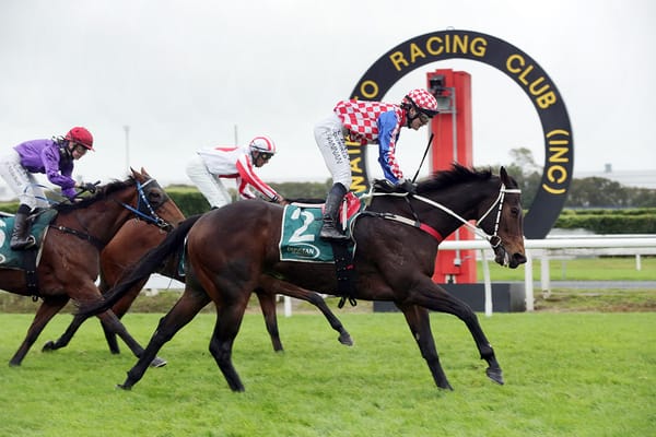 Gospodin on top again at Te Rapa