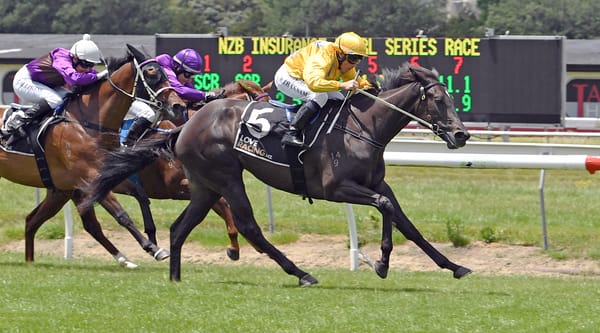 Awapuni hope Kana set to repay careful handling