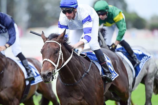 Kovalica heads strong Waller hand in Queensland Derby