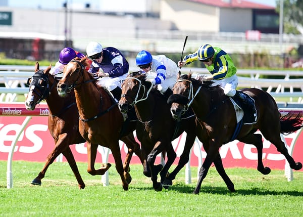 More Queensland success for Kukeracha