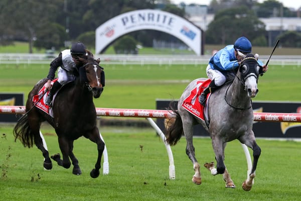 Le Zebra adds to Brownes’ family affinity