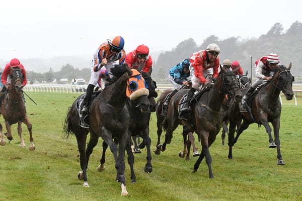 Walker pair swoop on Rotorua feature