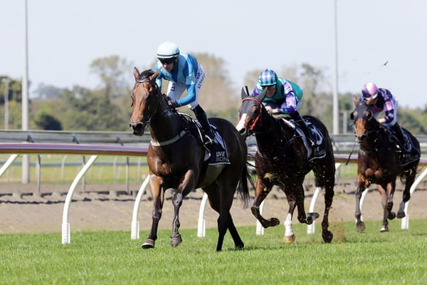 Experience to benefit promising Marengo