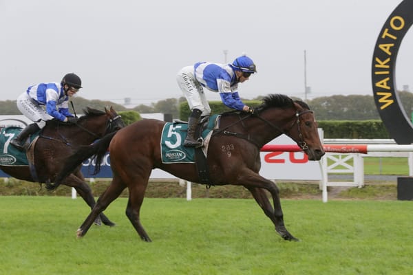 Collett keen on impressive three-year-old Martell