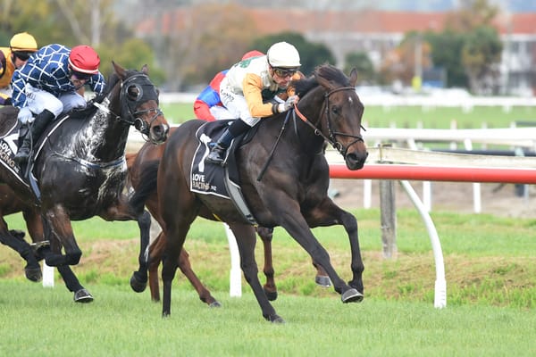 Mr Bully Tee impressive on home track