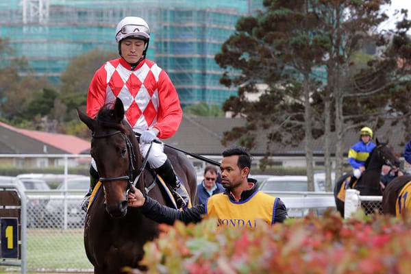 Orchestral to lead Hawke’s Bay 2YO assault