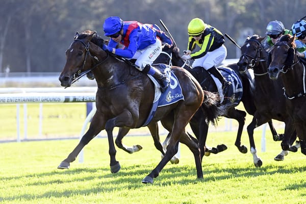 Palmetto set for return