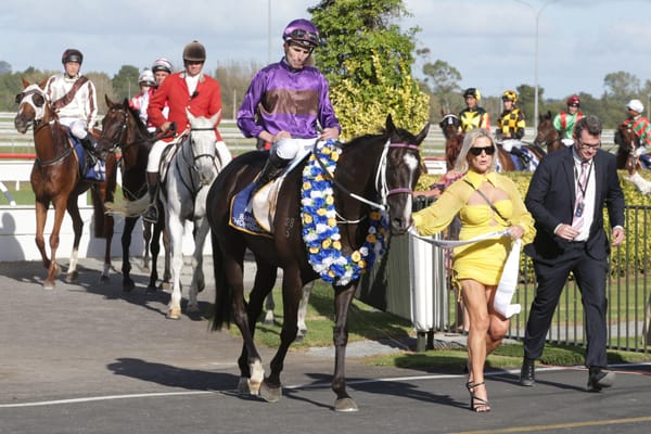 Platinum Invador on Brisbane Cup path