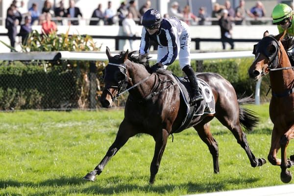 Bargain buy puts young trainer's name up in lights