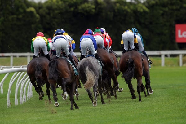 Matamata rescheduled to Sunday