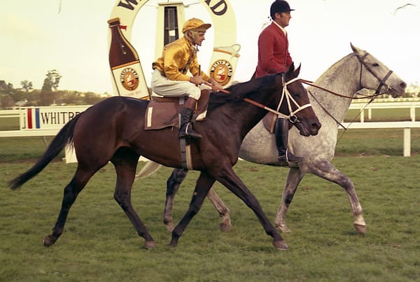 Des Wyatt remembered as a gentleman