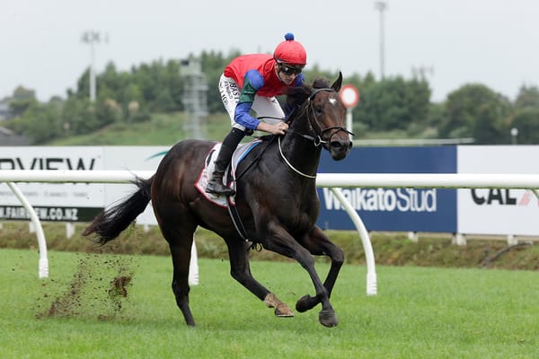 Solidify all class in Te Rapa feature