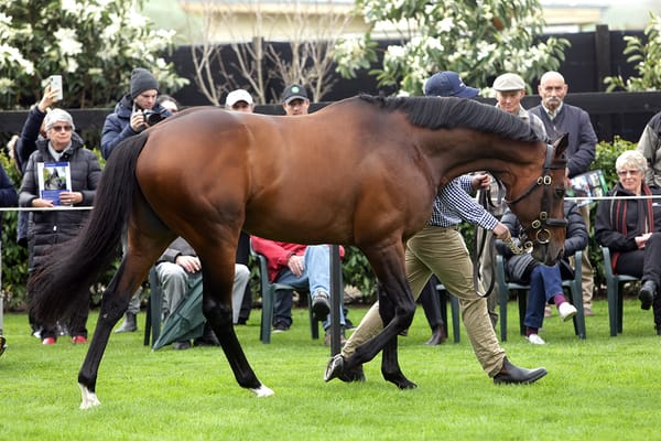 Novara Park looking forward to the 2024 season