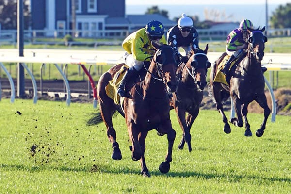 Smart 3YO leading the way for Harris