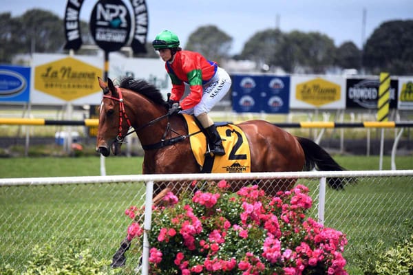 Progressive stayer all in at Awapuni