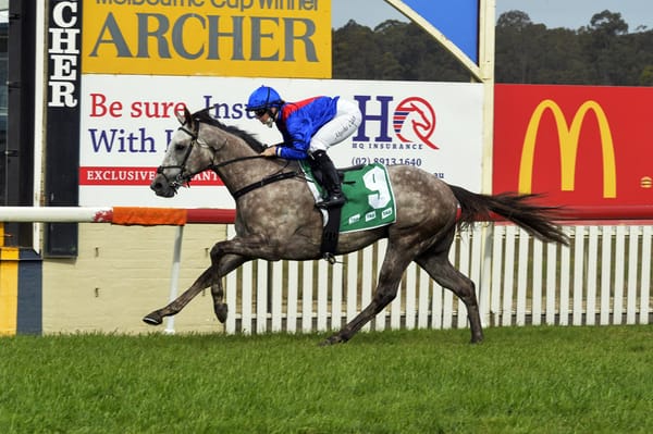 Benaud looking to build on black type performances