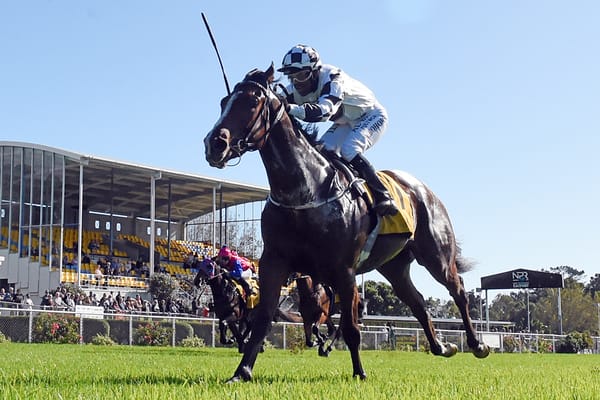 Castletown Stakes favourite sold