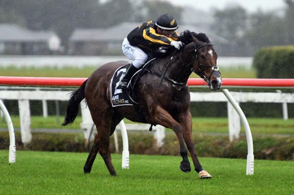 Stakes target next for Johny Johny