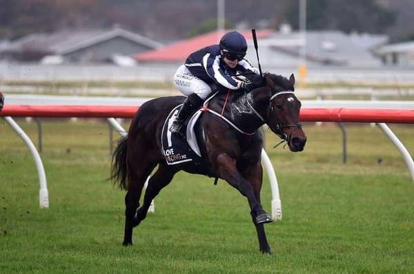 Another winner for U S Navy Flag