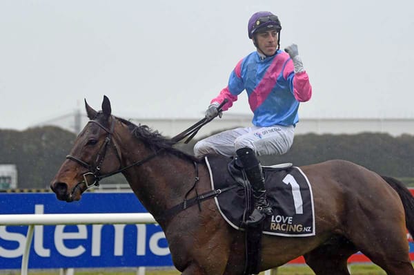 Proven team take out two jumps race features