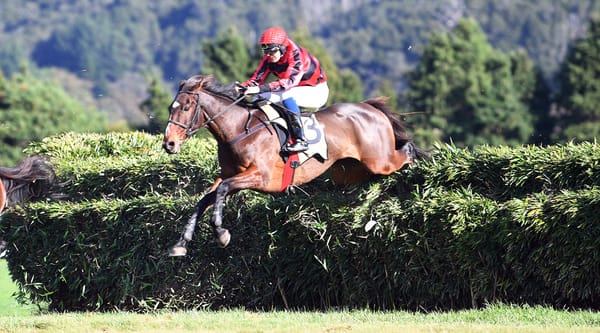 Nelson happy with team heading to Woodville