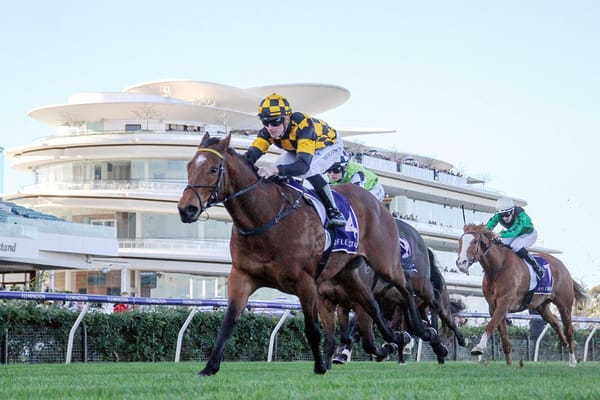 Firmer track key to Not An Option