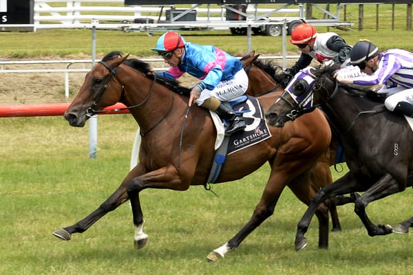 Ruakaka return for Not Ideal