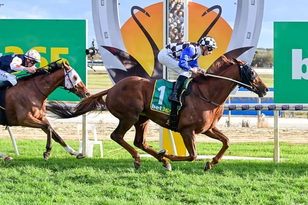 A Glorious Country Cup Star