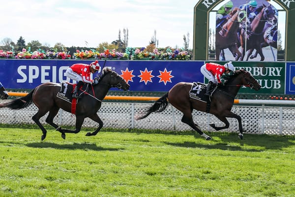 Favourites aplenty for Pitman