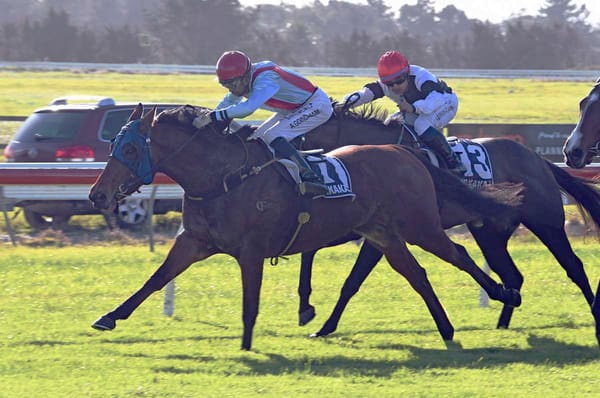 Local mare Patricia scores popular victory