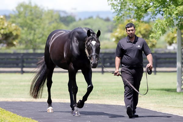 Redwood continues his run of success