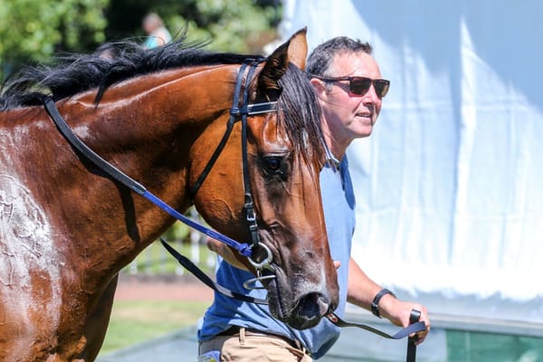 Sea Shepherd on target for Winter Cup