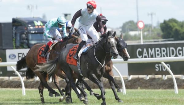 Time called for On The Rocks