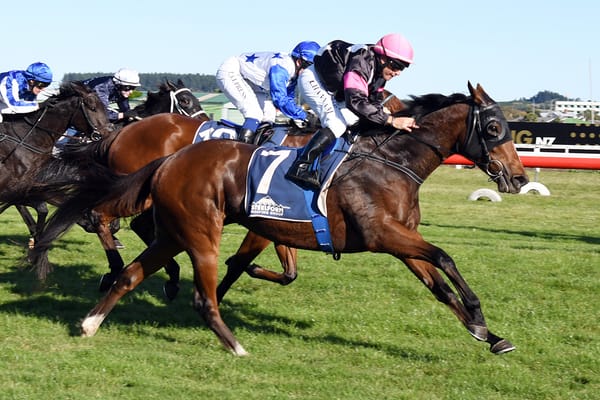 Secret Amour hunting elusive stakes victory