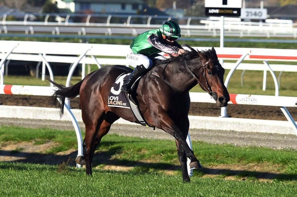 Stallone building towards stakes targets